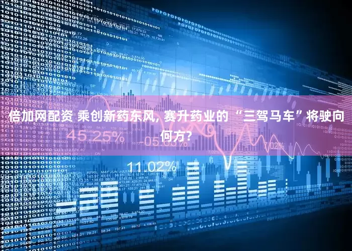 倍加网配资 乘创新药东风, 赛升药业的 “三驾马车”将驶向何方?