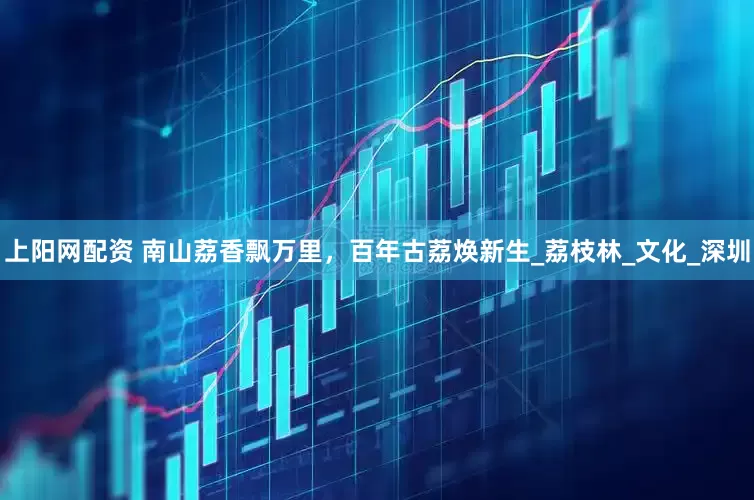 上阳网配资 南山荔香飘万里，百年古荔焕新生_荔枝林_文化_深圳