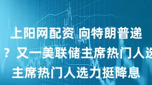 上阳网配资 向特朗普递“投名状”？又一美联储主席热门人选力挺降息